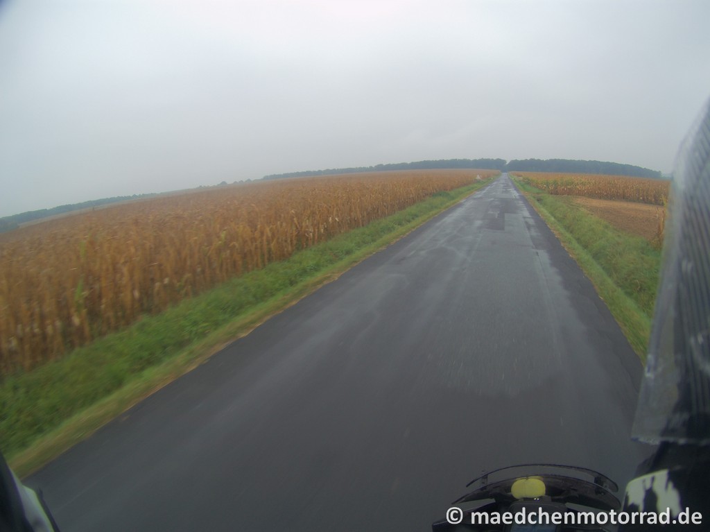 Durch die Maisfelder
